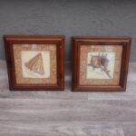 Set    obrazov   -   mušle