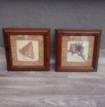 Set    obrazov   -   mušle