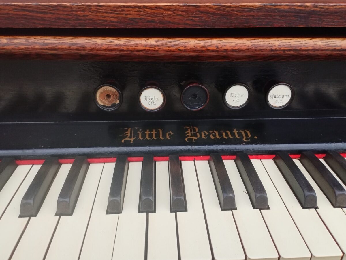 Organ   s   dubovým   puzdrom  Needham – Obrázok 9