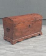 Truhlica   starožitná – Obrázok 2