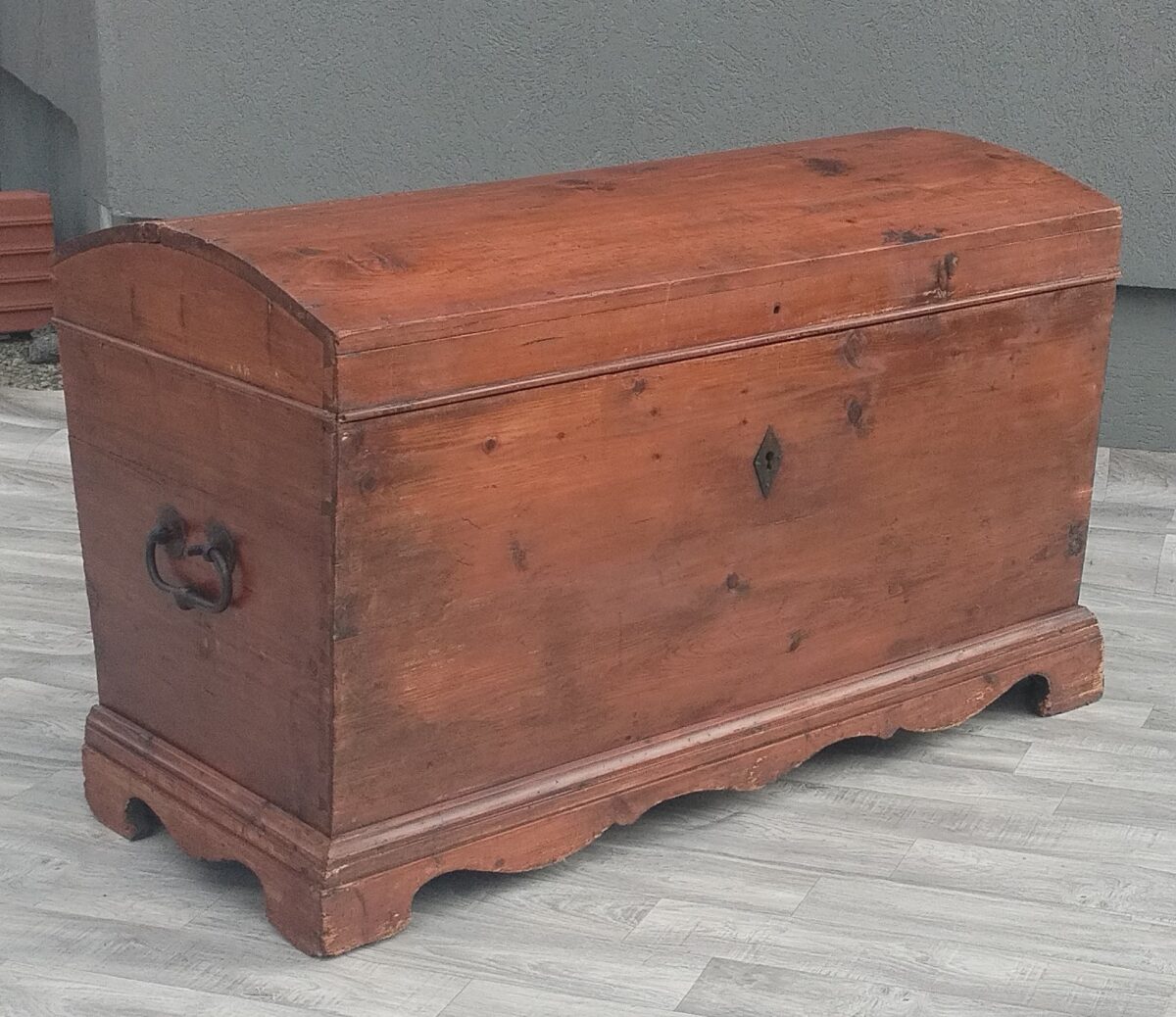 Truhlica   starožitná – Obrázok 3