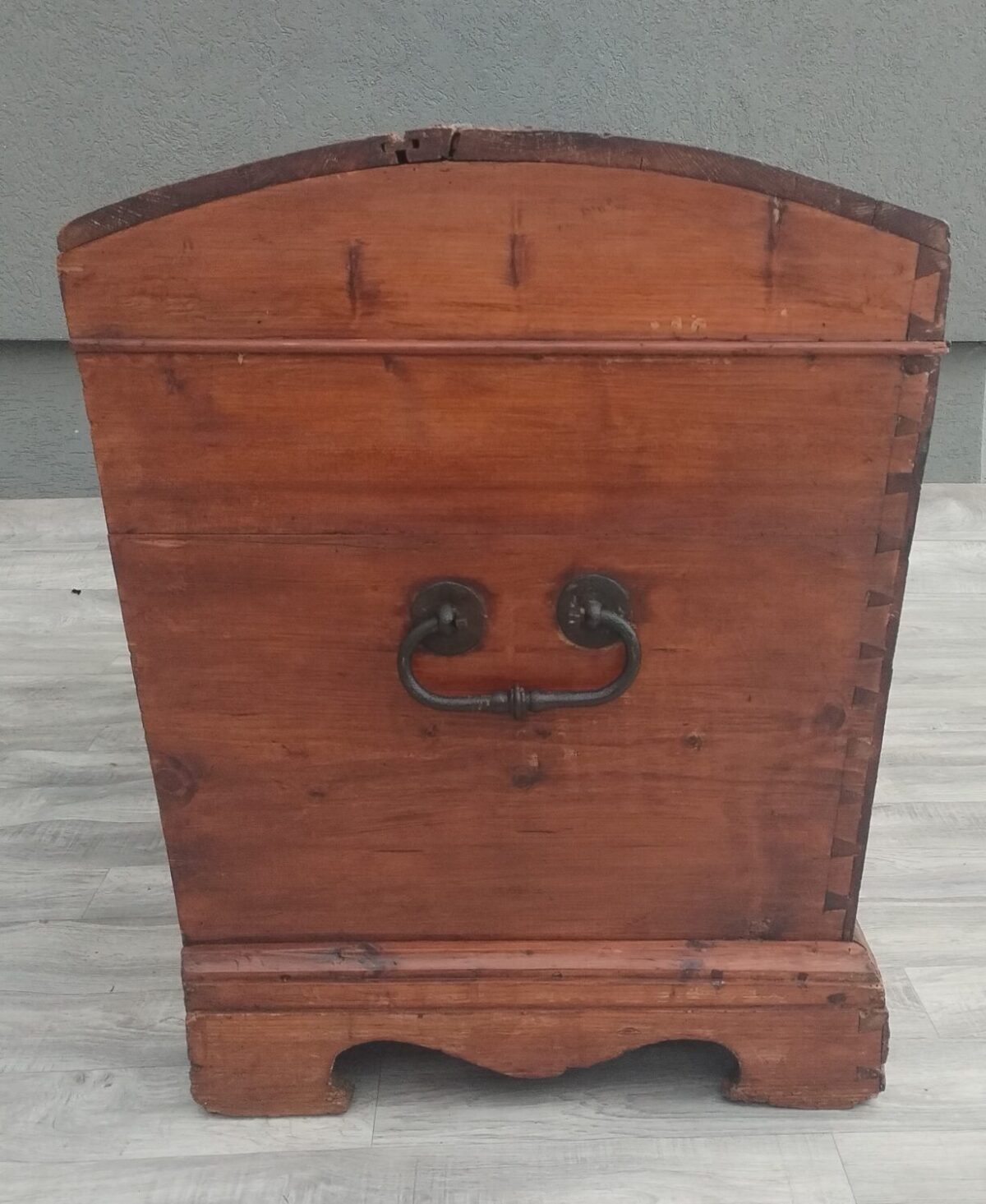 Truhlica   starožitná – Obrázok 4