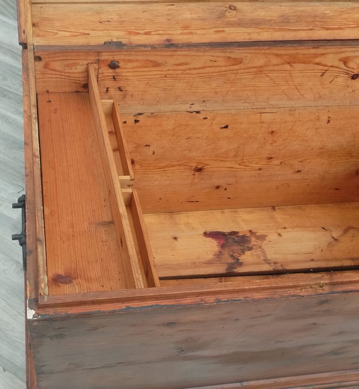 Truhlica   starožitná – Obrázok 6