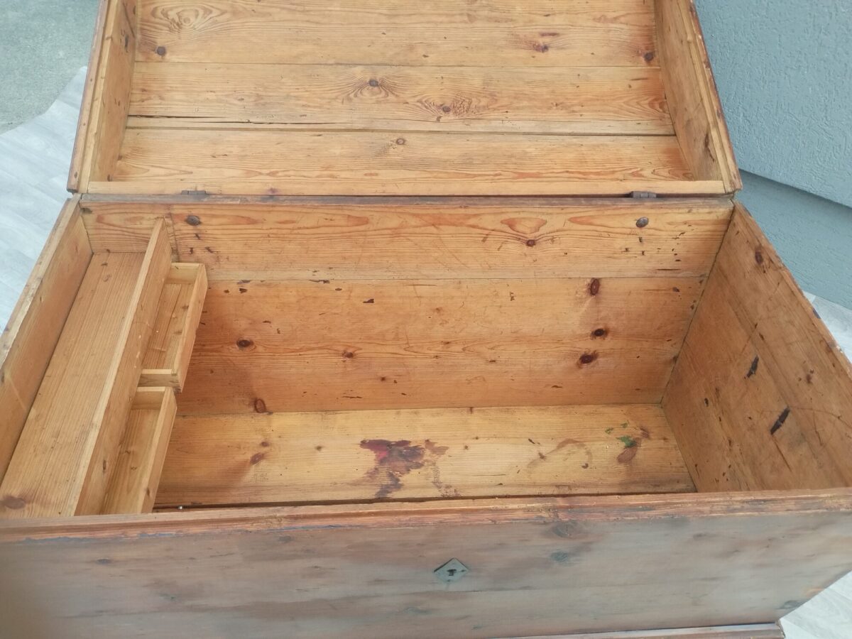 Truhlica   starožitná – Obrázok 7