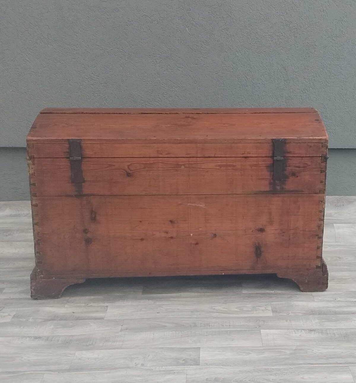 Truhlica   starožitná – Obrázok 10