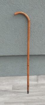 Palica     starecká    (  5   ) – Obrázok 2