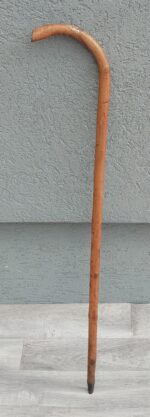 Palica     starecká    (  5   ) – Obrázok 3