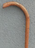 Palica     starecká    (  5   )