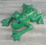 Žaba   dekoratívna – Obrázok 4