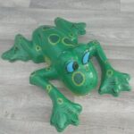 Žaba   dekoratívna