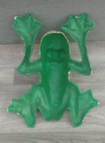 Žaba   dekoratívna – Obrázok 5